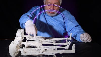 ¨La familia¨ de Nazca