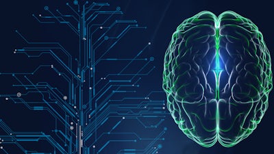 Introduction to Your Brain 