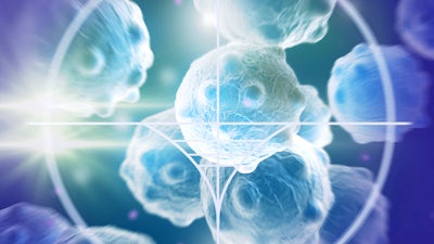 A Naturopathic Approach to Cancer with Donese Worden