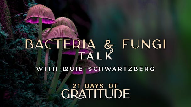 Bacteria & Fungi - Talk
