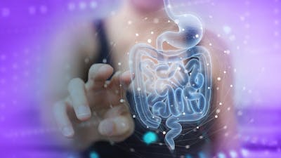 Assessing Your Gut
