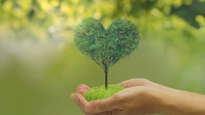La resiliencia 
