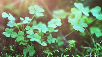 Jonathan Schooler on The Decline Effect