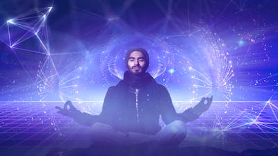 The Veil Is Your Brain