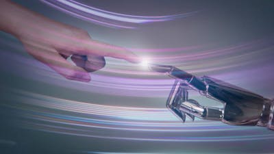 The Human Future with Terence McKenna