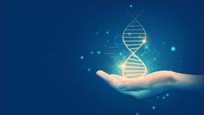 Advances in Longevity with Dr. Ed Park