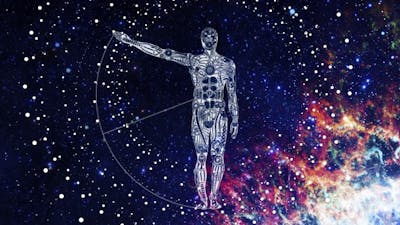 Clockwork Universe: Cosmic You