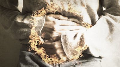 What in the World to Eat?