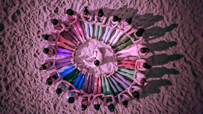 La estructura de los CME