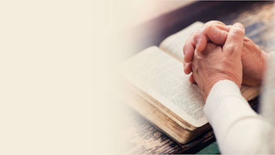 Wisdom Of Eating Raw