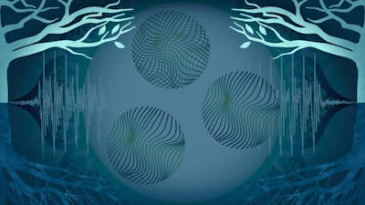Music of the Spheres