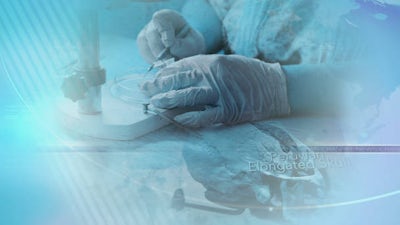 Gaia News Breakdown: Latest Archaeology in Peru