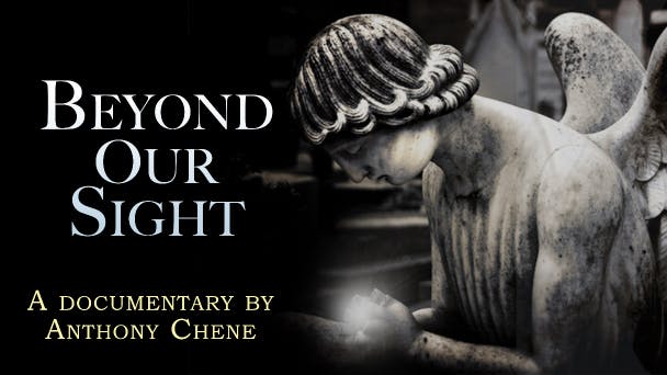 Beyond Our Sight