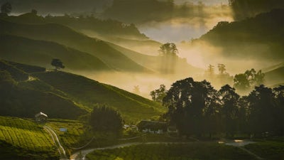 Evening Wind-Down: Audio Meditation