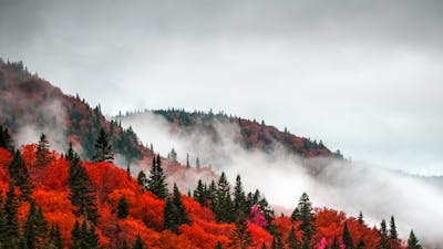 Seasons - Talk