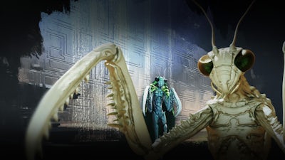 La Mantis y los Insectoides