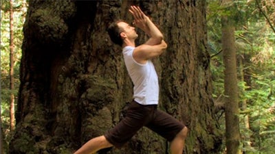 Yoga For Awakening The Spine