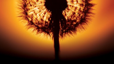 Am Anfang war das Licht