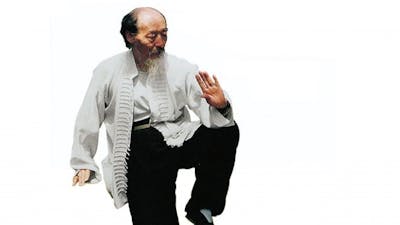 Qigon como Medio de Sanación en el Siglo XXI