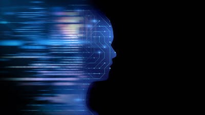 Homo Universalis: Awakening the New Species in Us