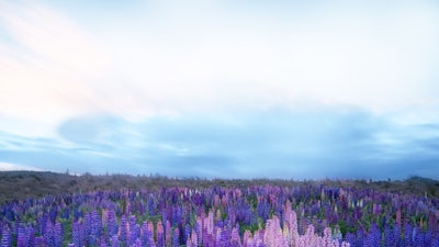 Controlling Blood Sugar