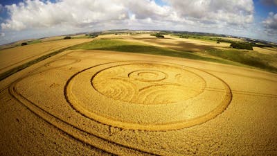 Le mystère des crop circles