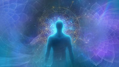 Exposing the Simulation: Change the Rules