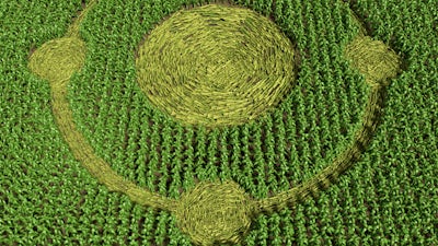 Barbara Lamb on Visitations