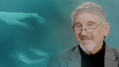 Parapsychologie unter der Lupe