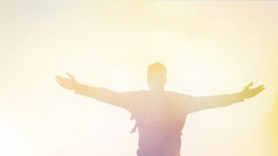 Day 5: Enliven