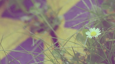 Hidden Secrets about Radiation