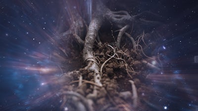 Strong Roots & Strong Foundation