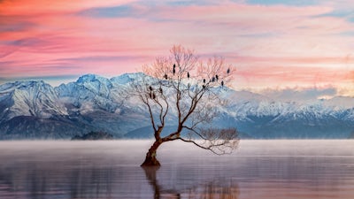 Compassion & Forgiveness