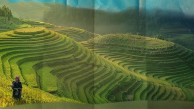 Japon : dans le secret des Sumos