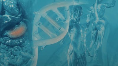 Caroline Sutherland on Body Wisdom