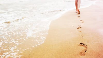 Les pieds sur Terre