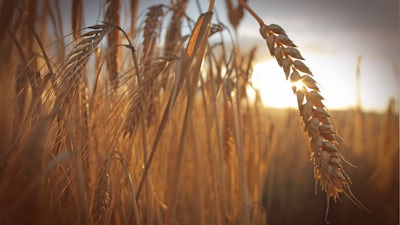 Session 2: Is the House of History Built on Foundations of Sand?