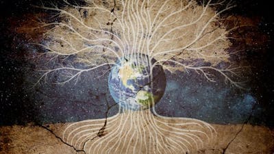 Tree of Life