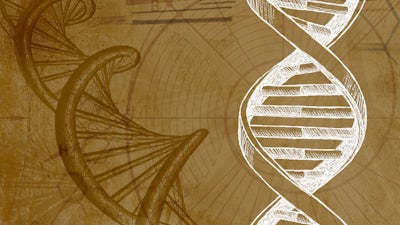 Genética Empoderada