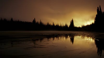 No estamos solos: El despertar del Espíritu con Arun y Sunanda Gandhi