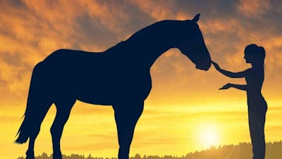 Healing Autism with Horses with Rupert Isaacson