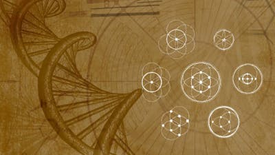 Fractales harmonieuses