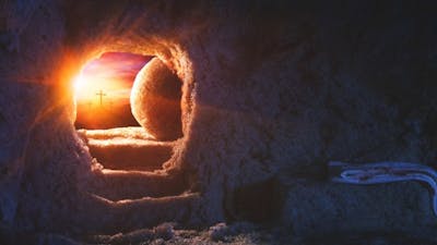 Ancient Tales of Death and Resurrection with Freddy Silva