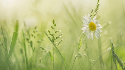 Barbara Marx Hubbard on Women Waking to Purpose