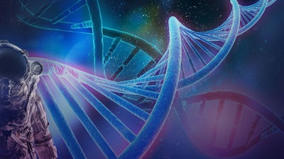 Die Wahrheit über Hybridisierungsprogramme