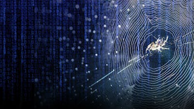 Web of Control