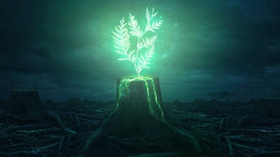 Mnemonic Induction of Lucid Dreams  