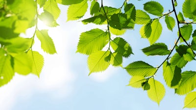 Beyond the Autism Spectrum