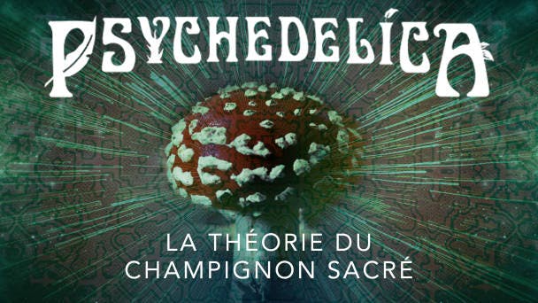 La théorie du champignon sacré