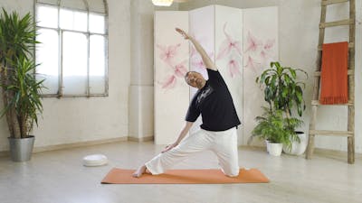 Der Weg der Absorption: Sushumna